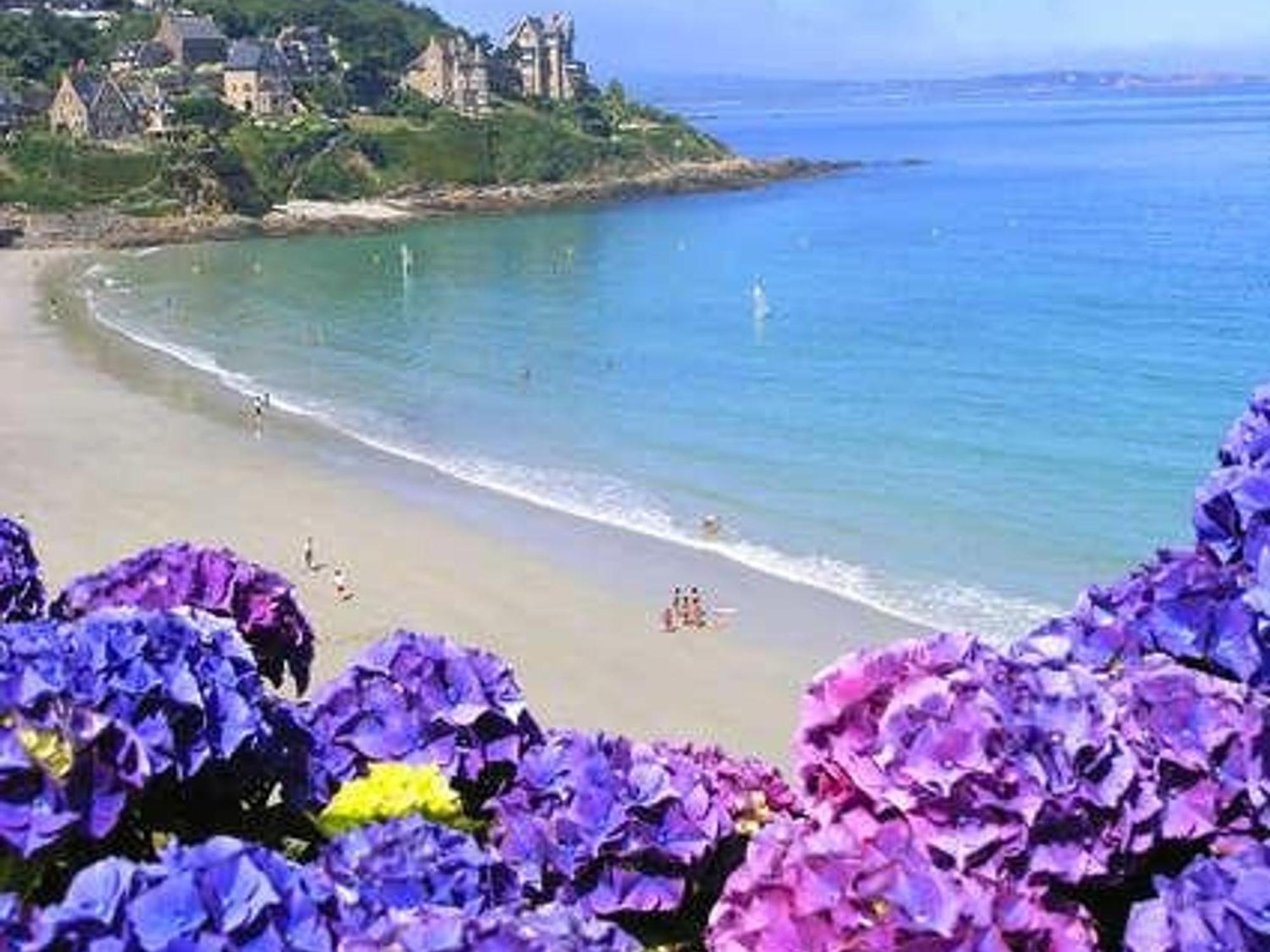 Appartement Perros-guirec, 2 Pièces, 4 Personnes - Fr-1-542-44